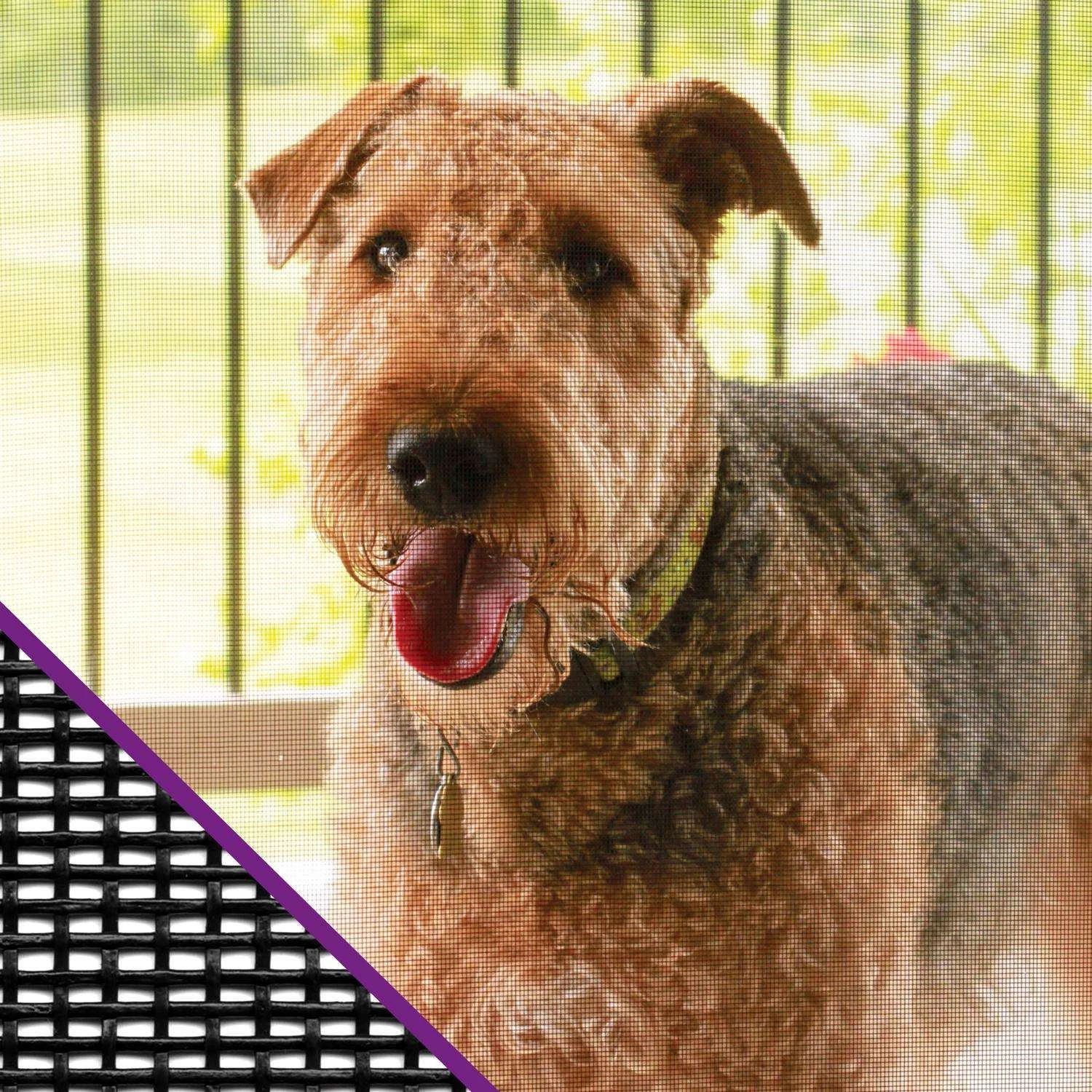 Saint-Gobain ADFORS Pet Resistant 48 In. W X 100 Ft. L Charcoal Polyester Pet Screen Cloth - Image 2