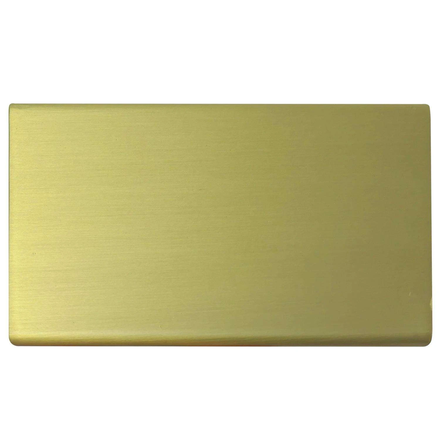 Laurey Contemporary Rectangle Edge Pull 9 In. Satin Brass Gold 1 Pk